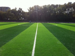 Artificial Grass Seaming Tape for Jointing Artificial Grass